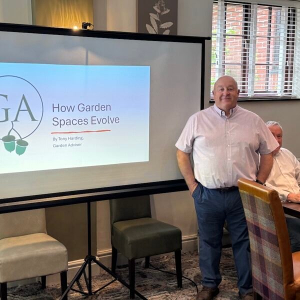 Tony Harding Discusses How Garden Spaces Evolve at BNSL